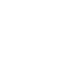 Dem's Suite Logo